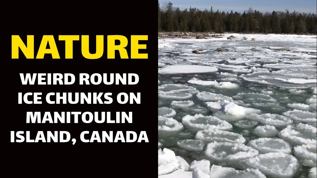 NATURE: Weird Round Ice Chunks on Manitoulin Island, Canada