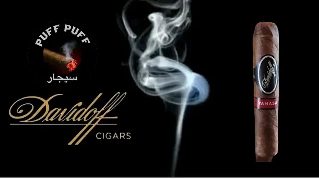 سيجار دافيدوف ياماسا بتي شرشل - Davidoff Yamasa Petit Churchill