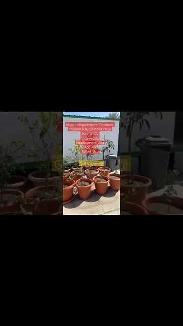 Khajoor k liye labour chiye for oman #oman #virul #gulfvacancy #shorts