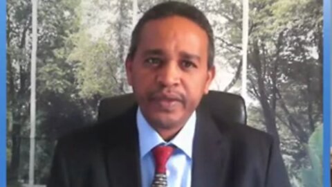ኢትዮጵያ እያየናት መቀመቅ ውስጥ ገባች - ኤርሚያስ ለገሰ