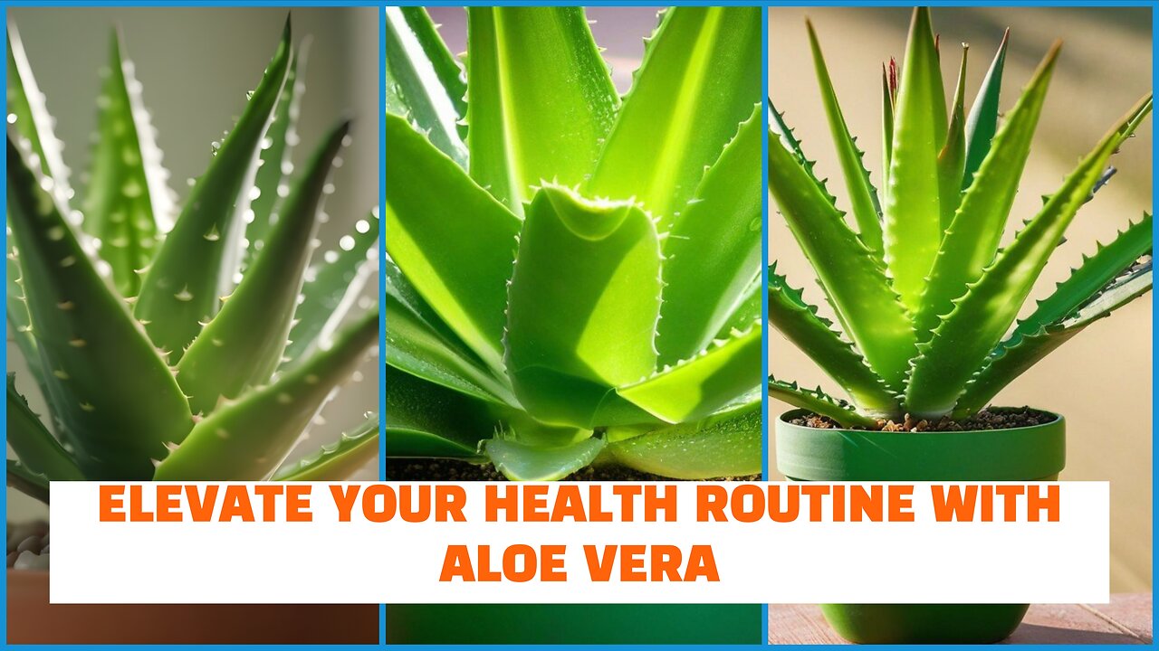 Experience The Healing Wonders Of Aloe Vera: Your Gateway To Improved Health