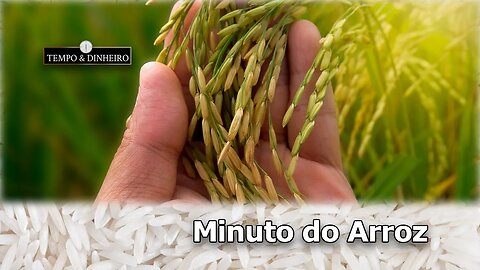 Arroz com safra cada dia menor