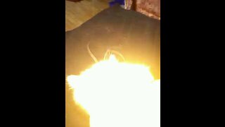 Kitty is playful