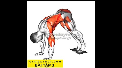 Cách bài tập Plank