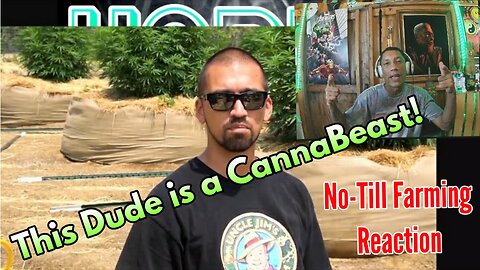 No-Till Cannabis Farm reaction