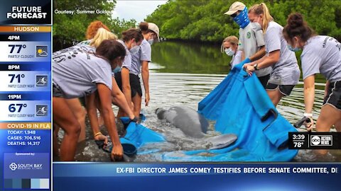 Local first graders help save 600-pound manatee found injured near their backyard