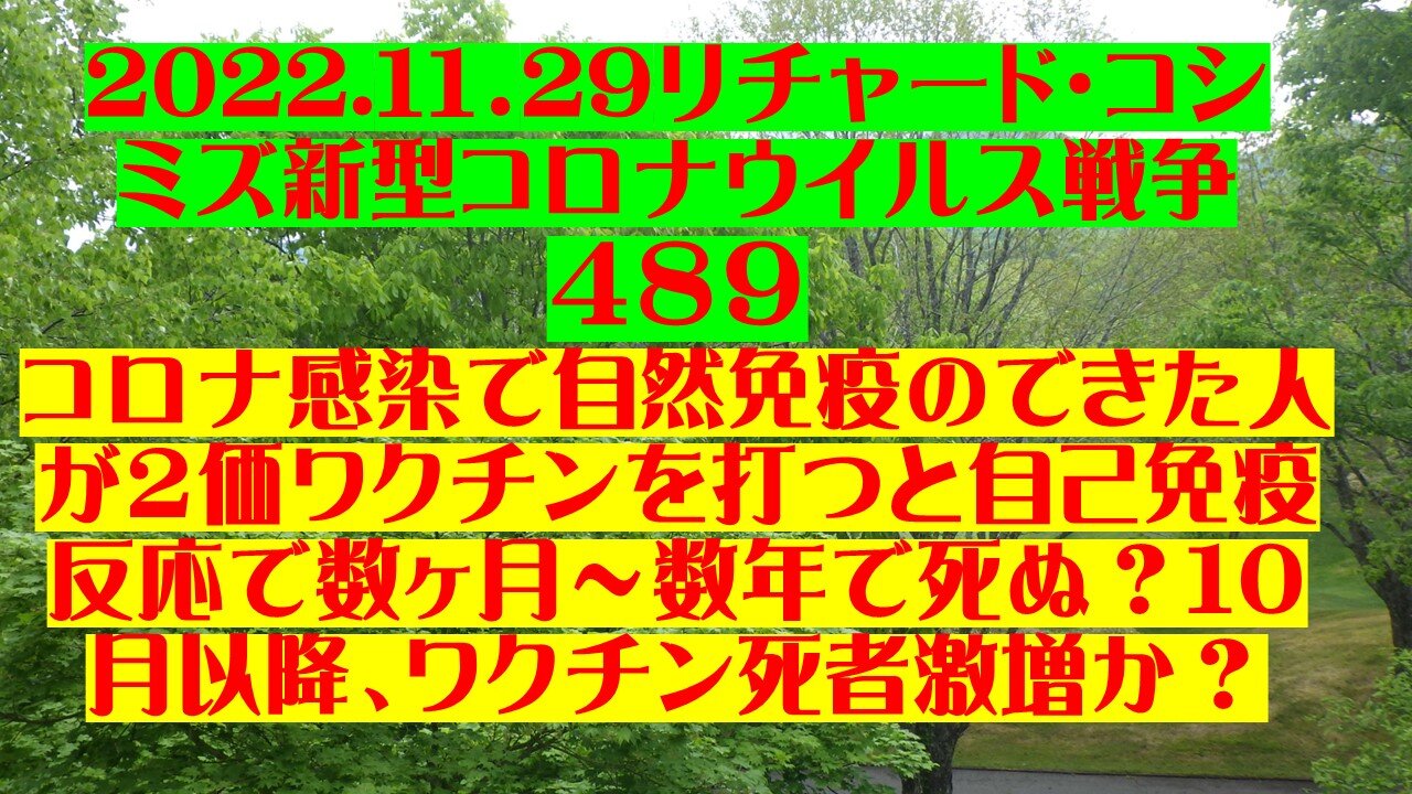 2022.１１．29リチャード・コシ ミズ新型コロナウイルス戦争 ４８９