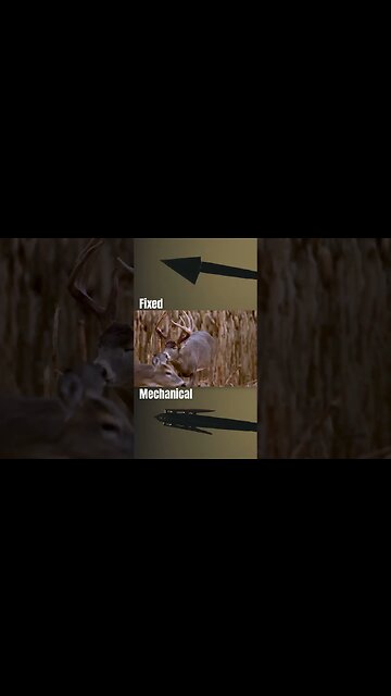 Fixed Or Mechanical?