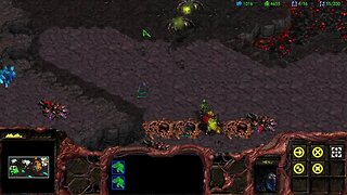 StarCraft Brood War, Campaign failure [4] (no commentary)