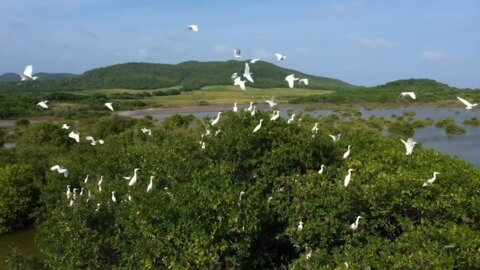 Biggest threats to Canada's biodiversity revealed in unique study