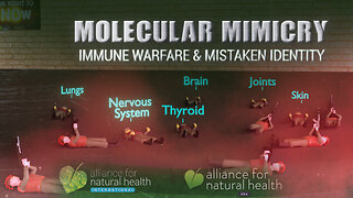 Molecular Mimicry