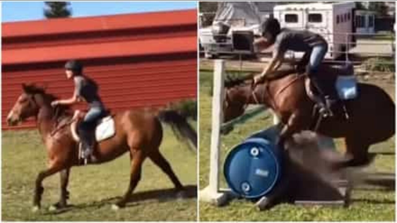 Cavalo rebelde decide levar dona para passear