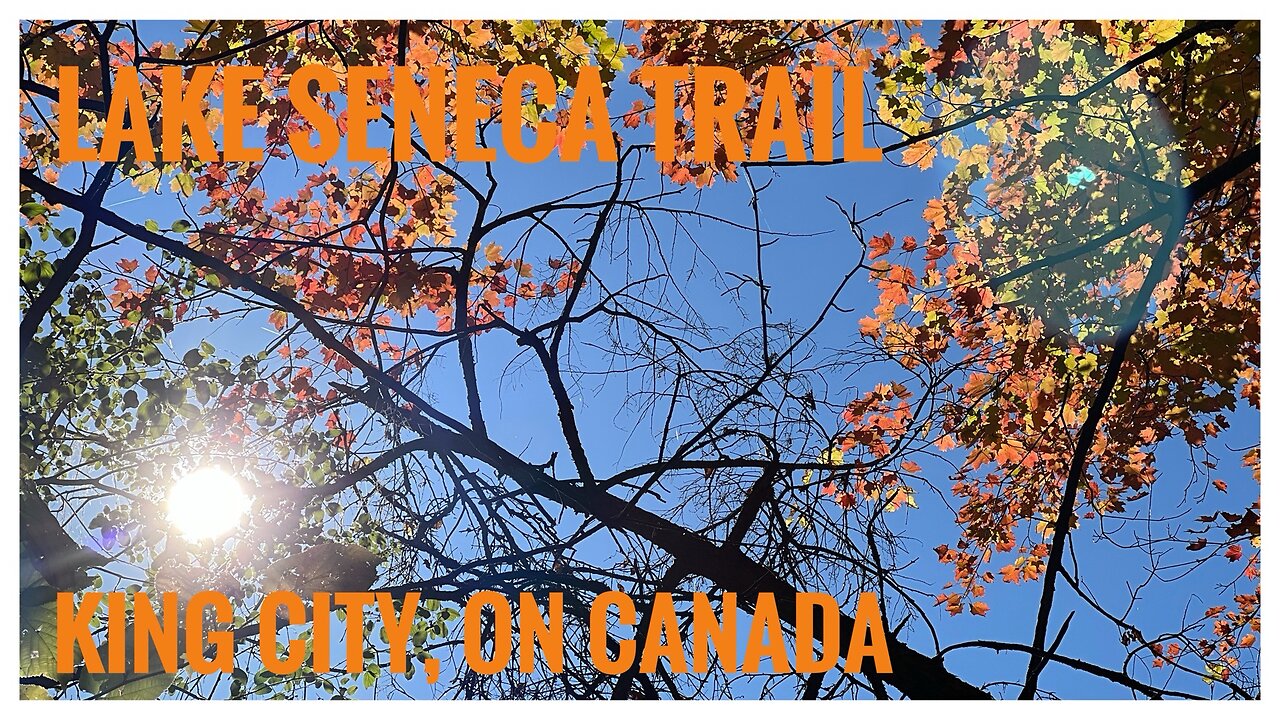 Relive Hiking | Lake Seneca Trail | King City, ON 🇨🇦 | Fall Nature