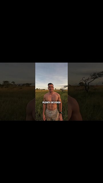 The REAL Serengeti - Mind Blowing Adventure on my Channel 💪🏼 #safari #shorts #vlog