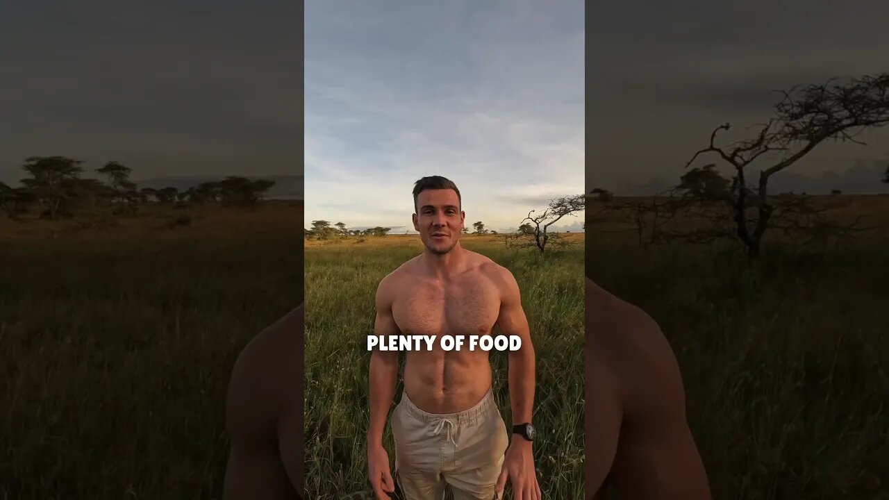 The REAL Serengeti - Mind Blowing Adventure on my Channel 💪🏼 #safari #shorts #vlog