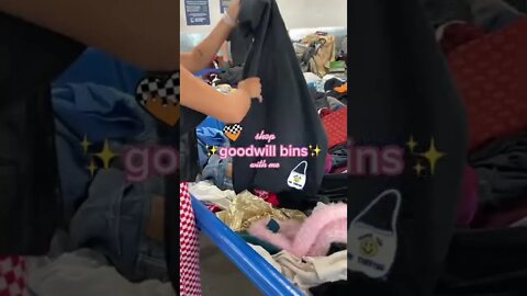 Goodwill Trifting Tiktok heyhialyssa