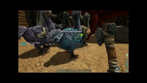 VOD175 ARK: Survival Evolved