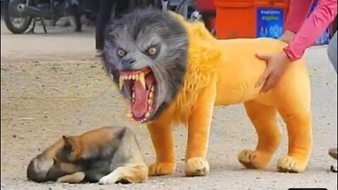 Troll prank funny&fake lion and tiger prank..with huge box prank🤣🤣😂😅😉