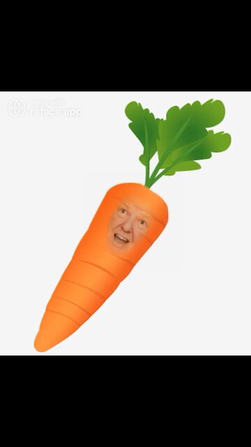The Ultimate Donald Trump Carrot Meme! 🥕