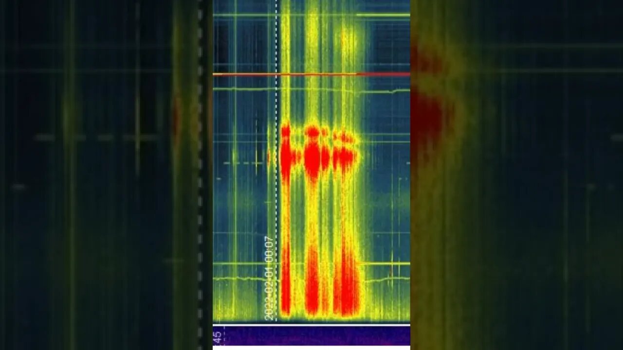 Vlf/Geomagnetic/Electromagnetic Feild monitoring station: Jan.30th-Feb.2nd 2022 "Portal Incedent"🌀🕸️