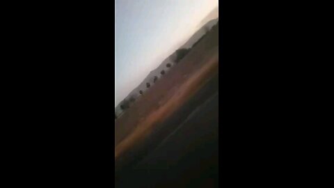 funny videos