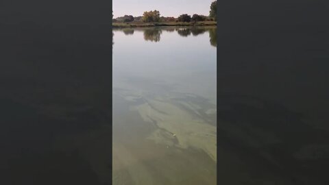 placid lake.