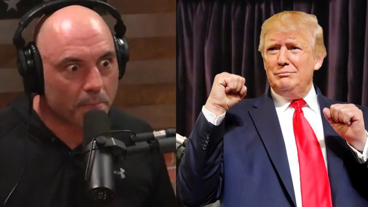 What Does it mean to be a Decent Human? (JOE ROGAN AND TRUMP PODCAST??) #14