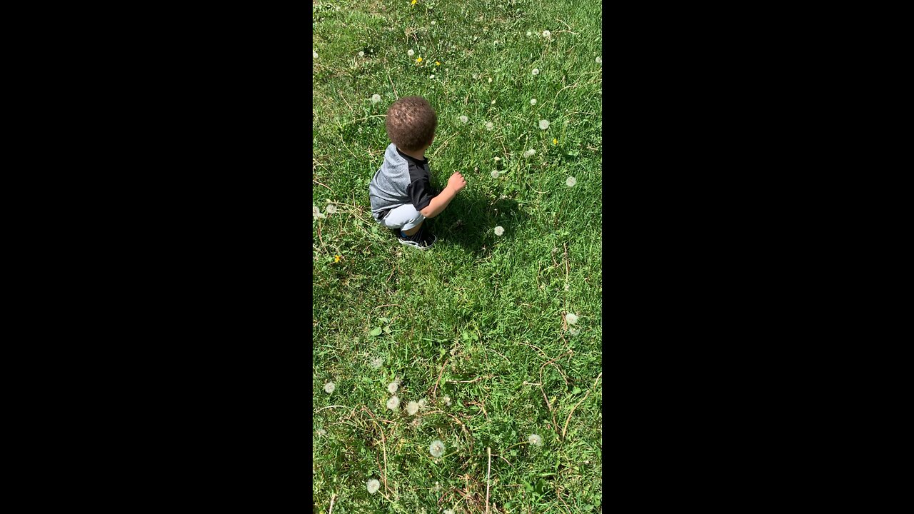 Sy-Yah first time walking at the park