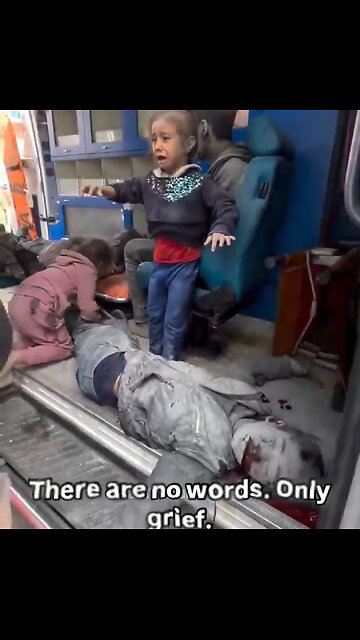 Israel military plus US supplied bombs killing women and children like animals