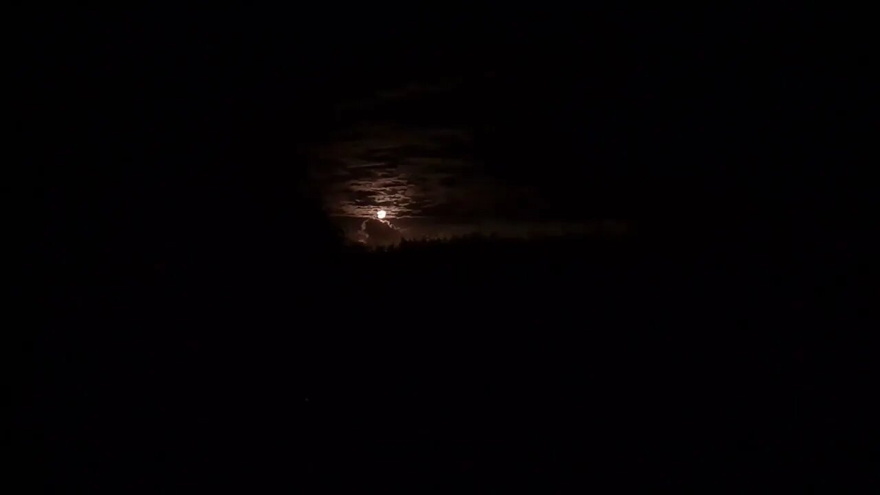 nighttime noises