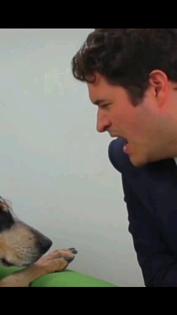 Don't yawn Challenge