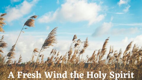 A Fresh Wind of the Holy Spirit