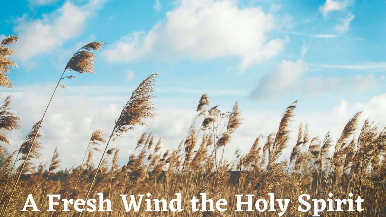 A Fresh Wind of the Holy Spirit