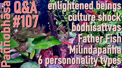Question & Answer #107: from Hindus Avoiding Garlic to Merit on the Path to Enlightenment