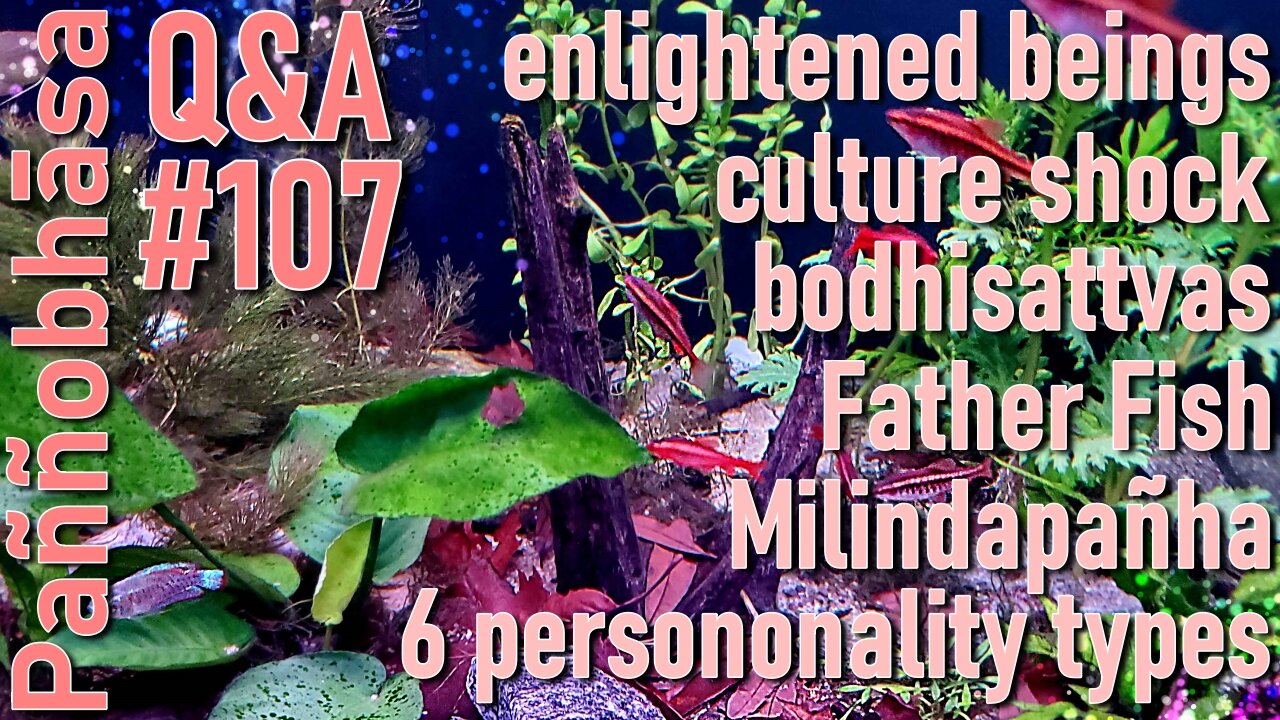 Question & Answer #107: from Hindus Avoiding Garlic to Merit on the Path to Enlightenment