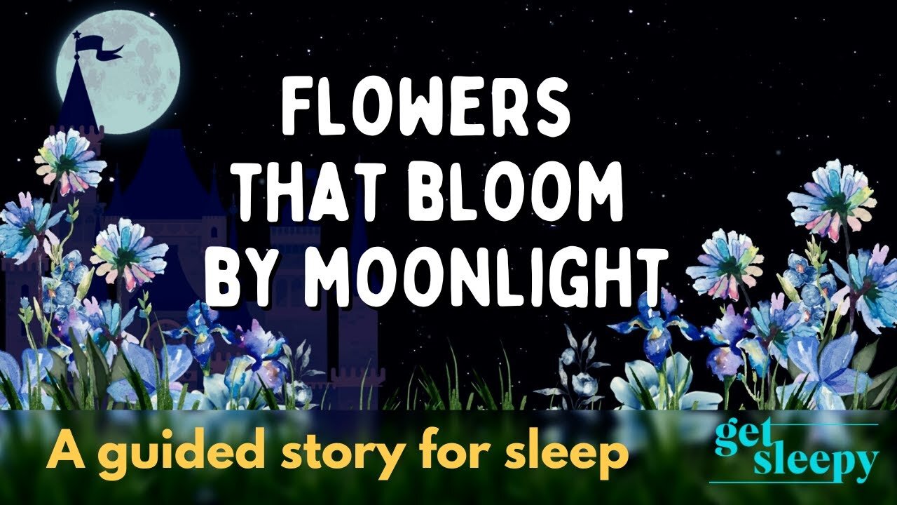 A Sleepy Fairy Tale | Flowers that Bloom by Moonlight