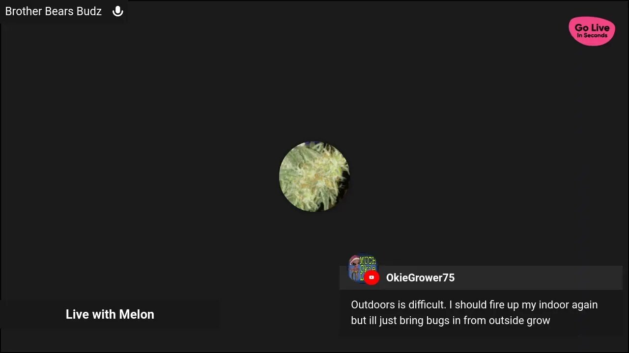 yup
