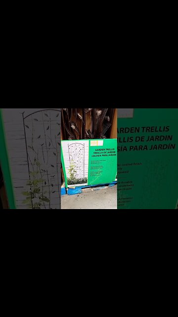 Best Things To Buy At Costco 🥳🤯 #shorts