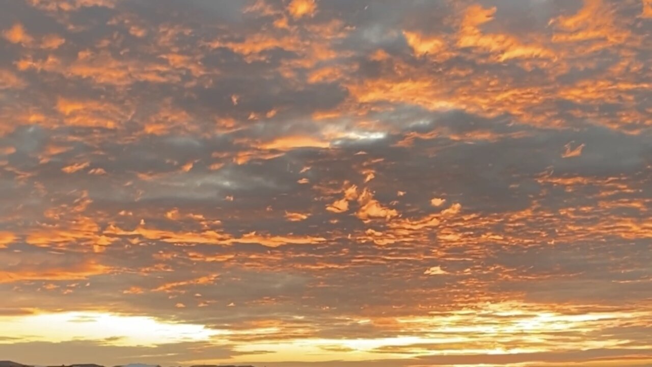 Elevated Serenity: A Sunset Journey Atop Melbourne's Wetlands