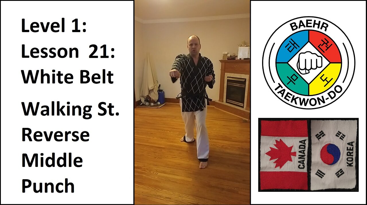 Baehr Taekwondo: 01-21: White Belt: Walking Stance - Reverse Middle Punch