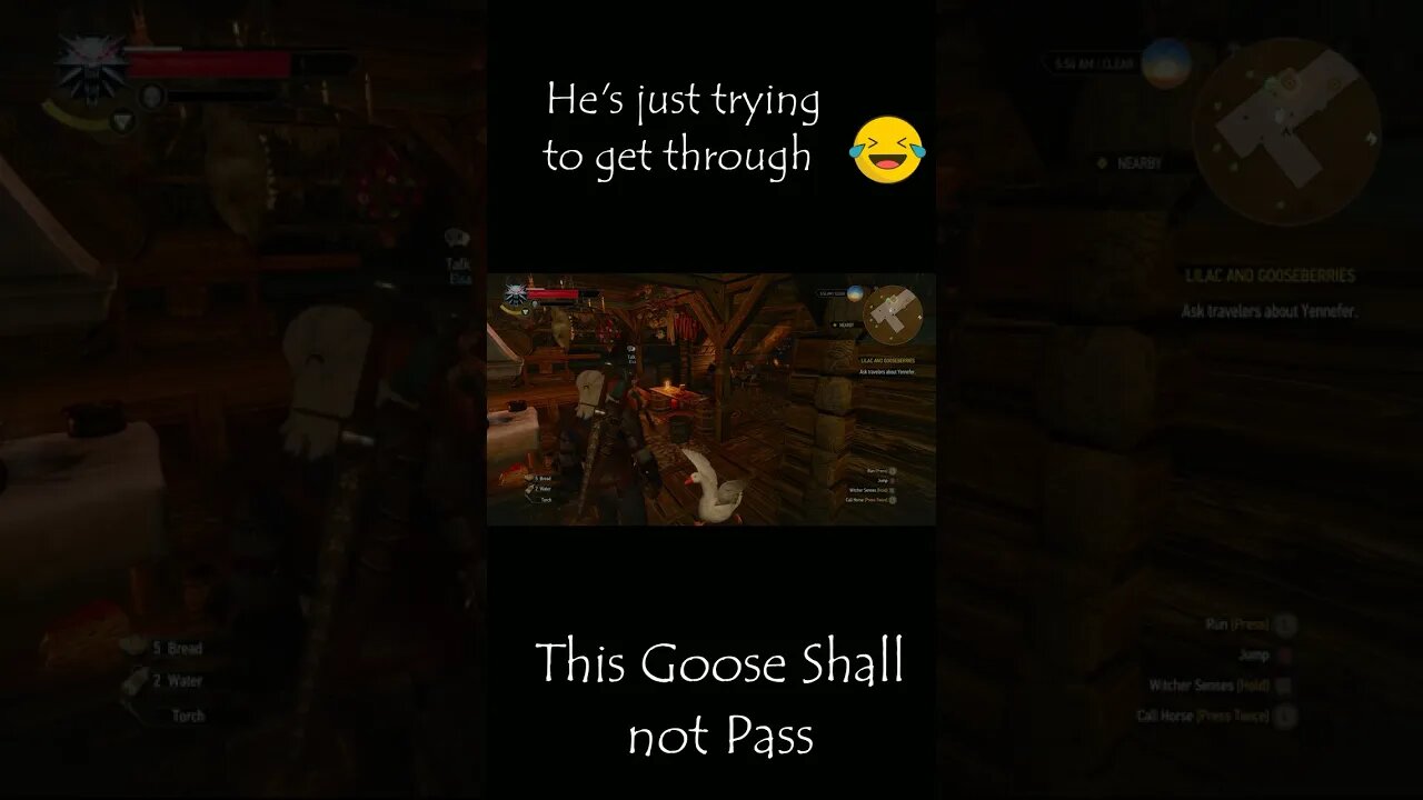 This goose is having a bad day #gaming #witcher #glitch #bug #cheapdeals #steam #witcher3