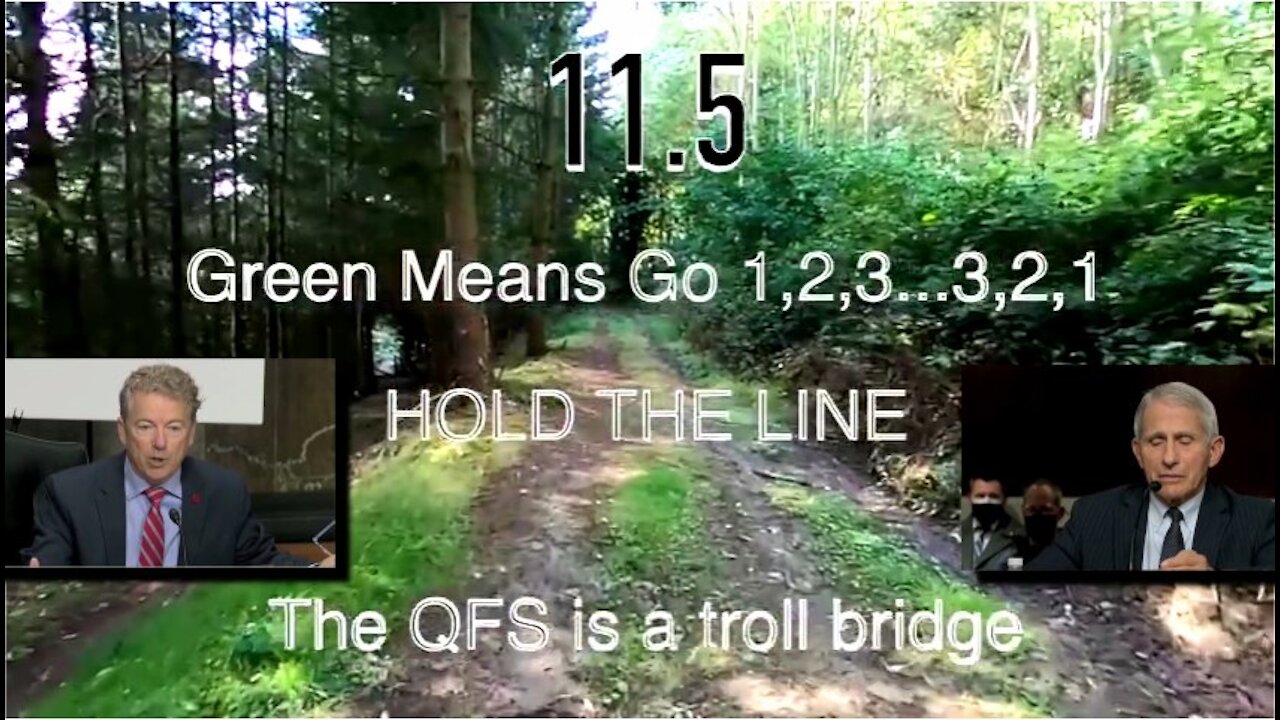 Remember Remember 11.5 Green means Go [mirrored]