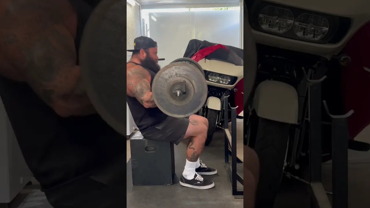 Seated Half Curls for Top End Power