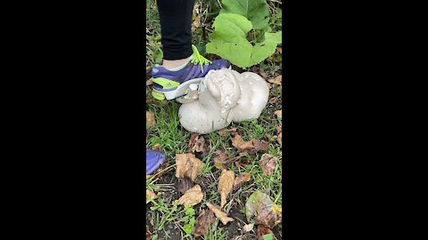 SLO mo shroom stomp