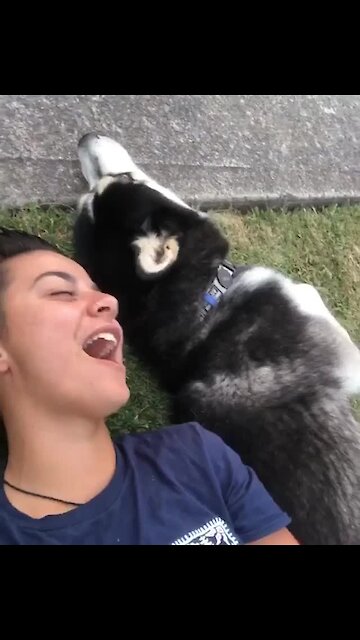 Vocal husky sings along with her owner