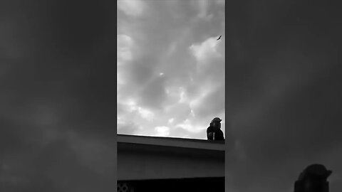 Circling VULTURES, anticipation…😬 #viral #shorts #shortsvideo #tiktok #trending #reels