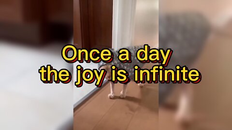 Once a day, the joy is infinite