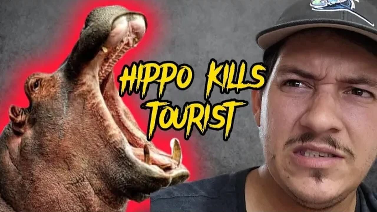 Hippo Kills Tourist at African Resort