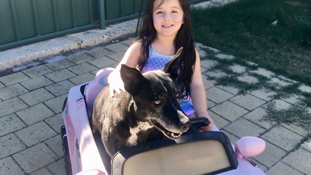 Little Girl takes Dog for a Drive