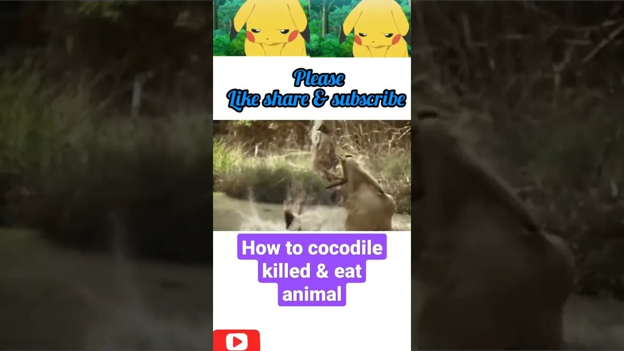 how to cocodile killed & Eat animals$ #shorts #youtubeshorts